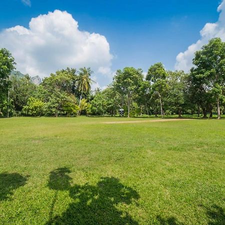 Mps Village Dambulla Bagian luar foto